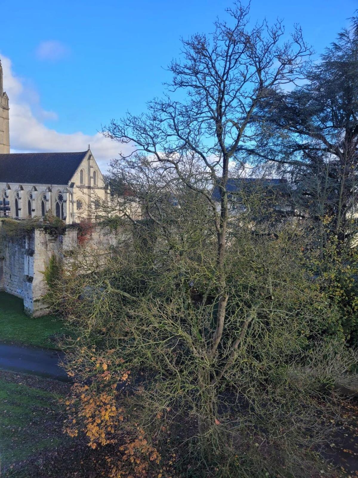 De L'abbaye * Soissons